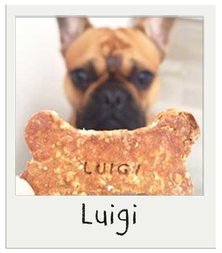 Luigi avec son biscuit perso